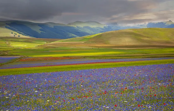 Картинка поле, небо, трава, цветы, горы, тучи, луг, Италия