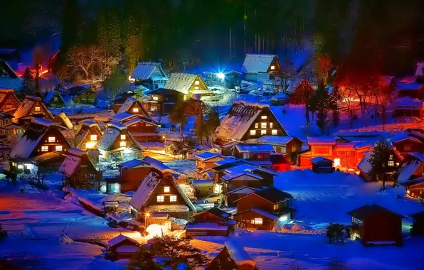 Зима, снег, деревья, ночь, огни, дома, поселок