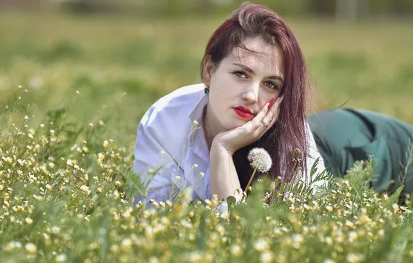 Взгляд, девушка, цветы, природа, поза, поляна, шатенка, красная помада