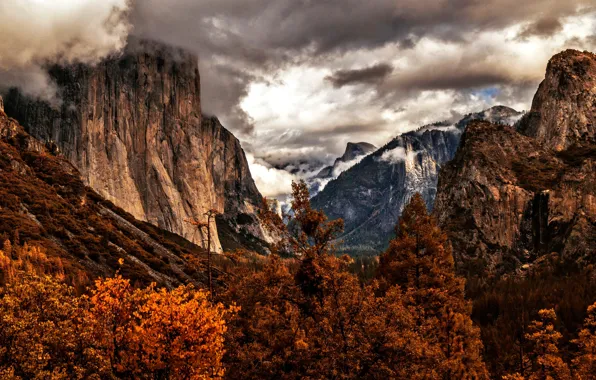 Осень, деревья, горы, Калифорния, США, Йосемити, Yosemite National Park