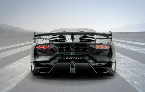 Lamborghini, суперкар, вид сзади, Aventador, Mansory, 2020, SVJ, Cabrera
