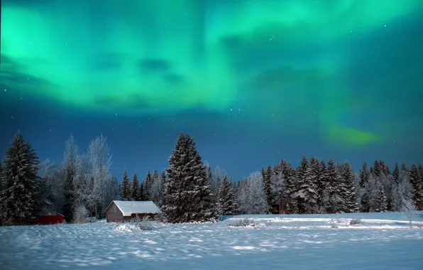 Картинка зима, лес, небо, снег, ночь, природа, северное сияние, домики
