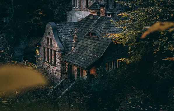House, forest, trees, autumn, old, leaves, landscapes, bushes