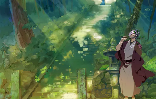 Природа, парень, Natsume Yuujinchou, Тетрадь дружбы Натсуме