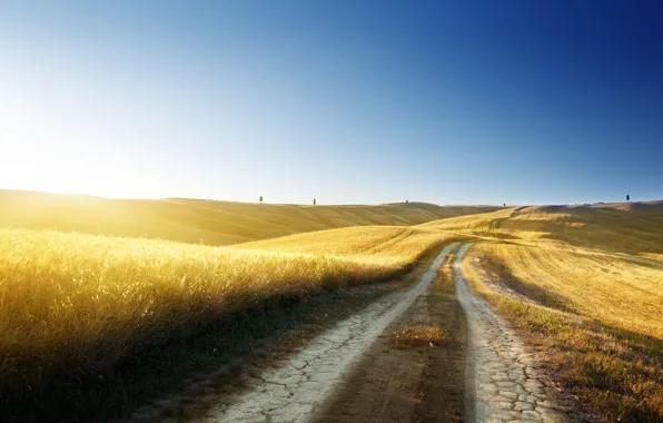 Картинка дорога, пшеница, лето, небо, трава, свобода, солнце, свет