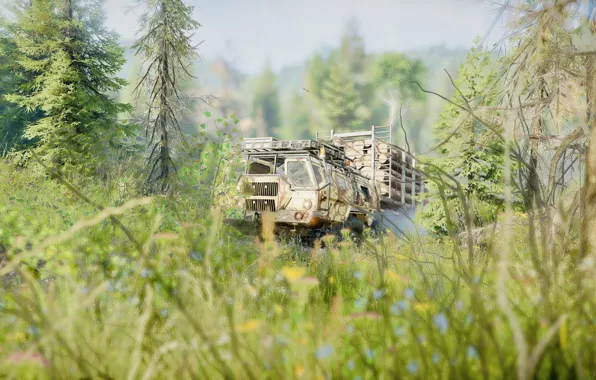 HDR, Game, UHD, Xbox One X, Photography by Tom, British Colombia, Snowrunner, Zikz 605R