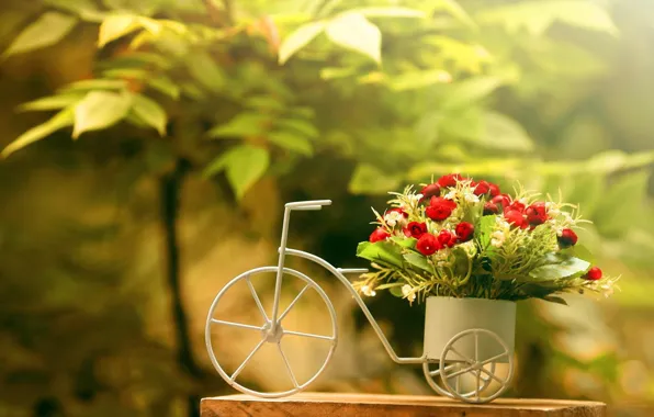 Картинка зелень, цветы, велосипед, листва, букет, красные