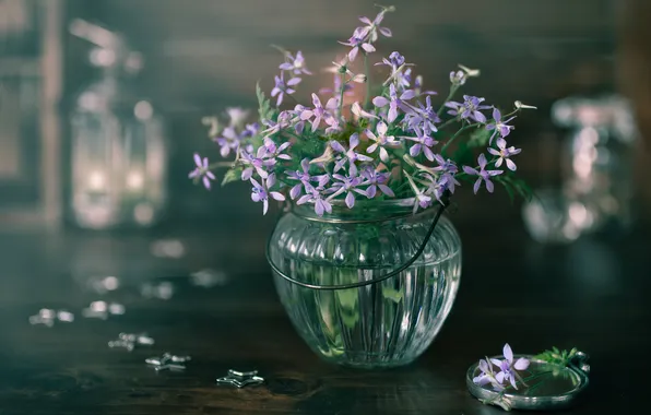 Стекло, цветы, стол, букет, размытие, банка, натюрморт, звездочки