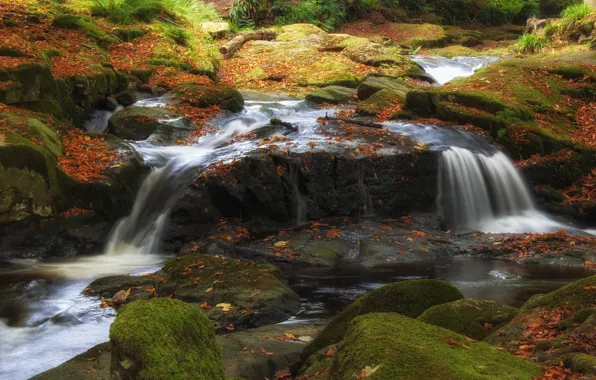 Осень, вода, природа, камни, листва, водопад, мох, листопад