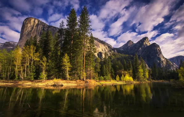Картинка деревья, горы, природа, река, утро, Калифорния, Йосемити, California