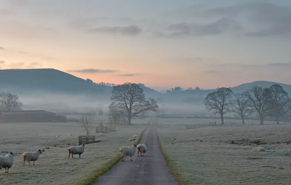 Картинка иней, дорога, деревья, горы, природа, туман, Англия, утро