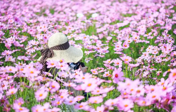 Картинка лето, цветы, шляпка