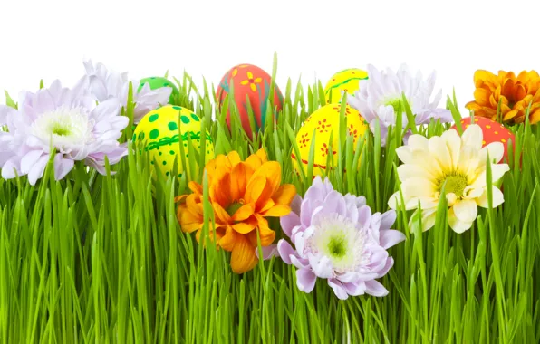 Трава, цветы, яйца, пасха, Easter