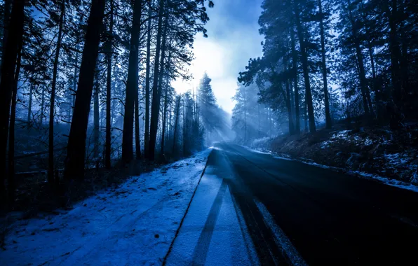 Картинка зима, дорога, лес, солнце, лучи, снег, деревья, природа