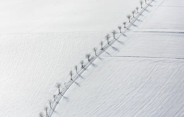 Картинка поле, снег, деревья, пейзаж, минимализм