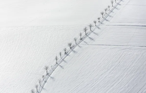 Поле, снег, деревья, пейзаж, минимализм