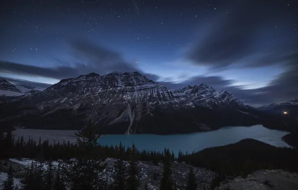 Лес, ночь, озеро, гора, Banff National Park, Alberta, Canada, night