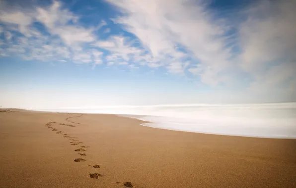 Картинка песок, море, волны, следы, берег, горизонт