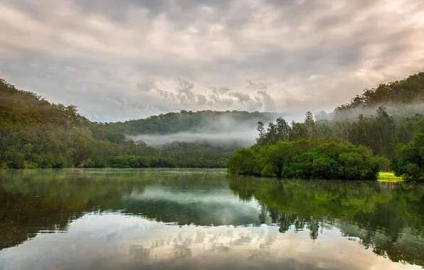 Картинка лес, природа, озеро, дымка, Australia, Berowa Creek