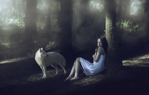 Картинка лес, собака, девочка
