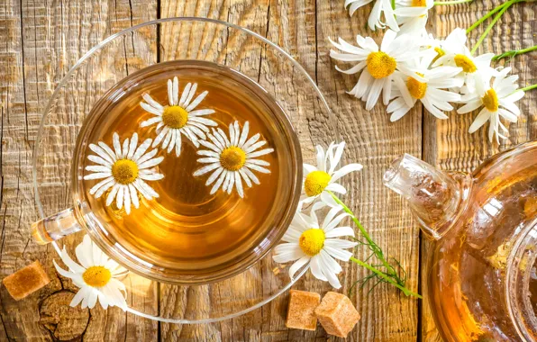 Картинка цветок, чай, ромашка, чашка, напиток, flower, блюдце, cup