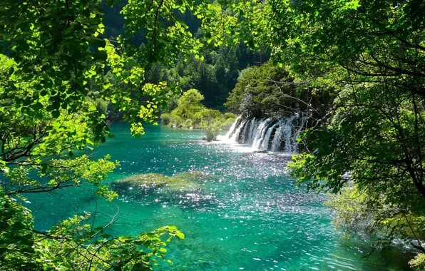 Деревья, озеро, водопад, Зелень