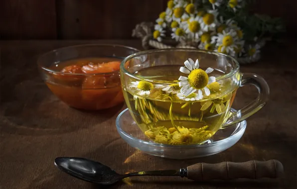 Стекло, свет, цветы, стол, чай, ромашки, ромашка, ложка