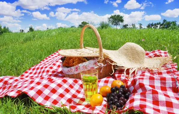 Картинка лето, поляна, фрукты, пикник, корзинка, Picnic Day