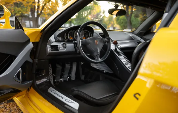 Картинка Porsche, Porsche Carrera GT, steering wheel