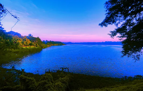 Sky, Grass, Water, Sunrise, Dawn, Morning, Lake, Trees