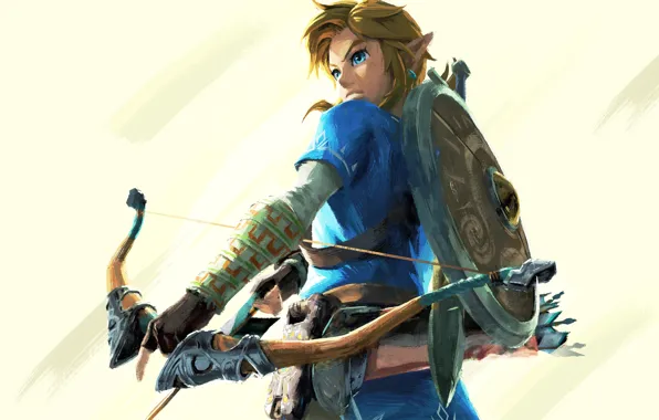 Nintendo, Game, Link, The Legend Of Zelda: Breath Of The Wild