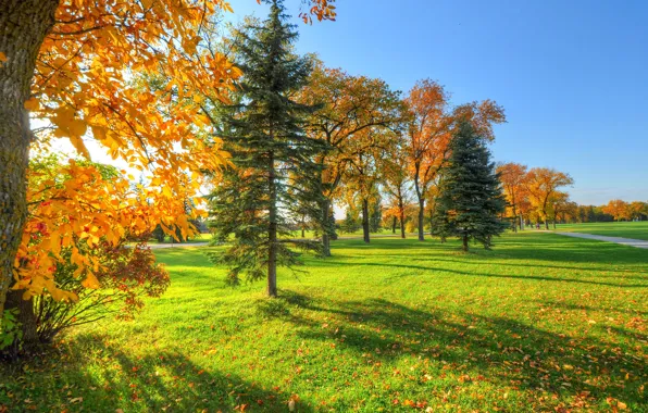 Осень, небо, трава, листья, деревья, парк, дорожка
