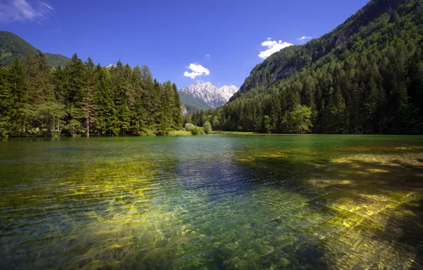 Лес, горы, озеро, рябь на воде, Словения, Slovenia, Planšarsko jezero, Планшарско озеро