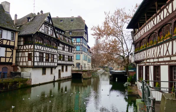 Europa, Frankreich, Maison des Tanneurs, Straßburg