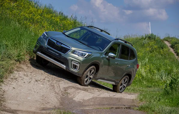 Трава, Subaru, грязь, кроссовер, Forester, 2019