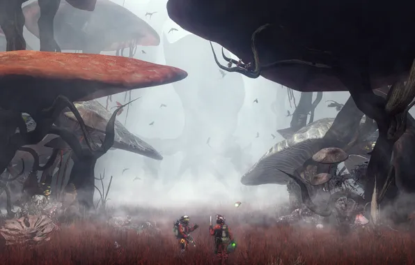Лес, растительность, грибы, пришельцы, the thing in the mushroom forest