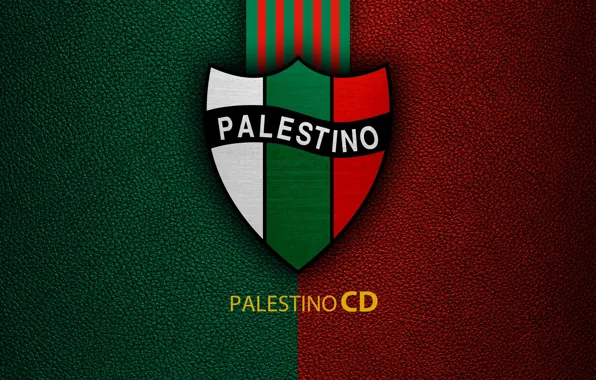 Картинка wallpaper, sport, logo, football, Club Deportivo Palestino