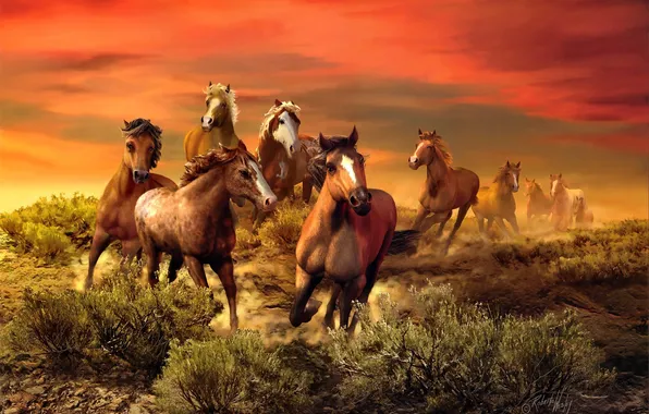 Животные, кони, живопись, Roberta Wesley, багровое небо, табун лошадей, The Wild Bunch