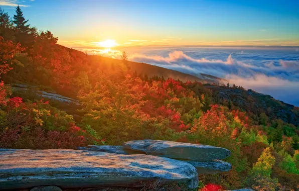Картинка осень, лес, облака, деревья, горы, восход, рассвет, North Carolina