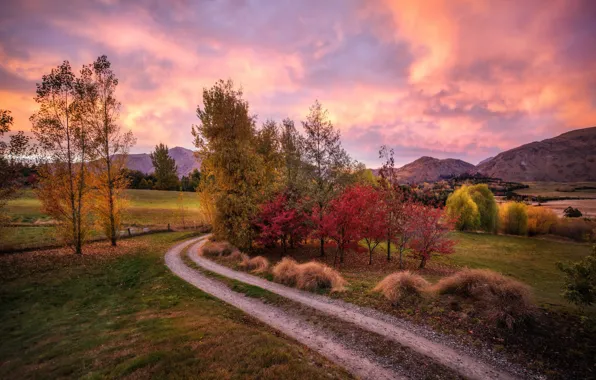 Дорога, осень, горы, холмы, утро, Новая Зеландия