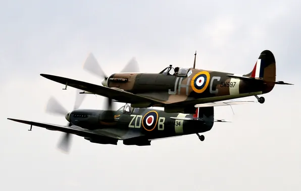 Картинка небо, истребители, британские, .WW2, Spitfire LF.Vb и LF.IXb
