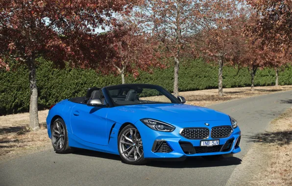 Дорога, осень, деревья, BMW, M40i