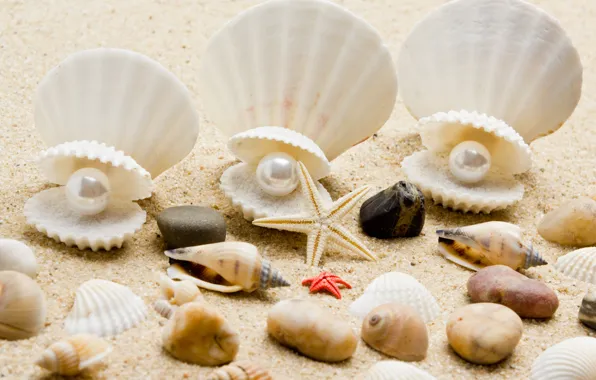 Песок, море, пляж, берег, ракушки, summer, beach, sea