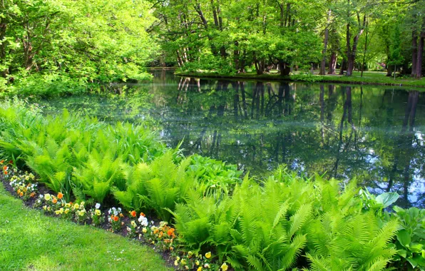Картинка green, park, lake