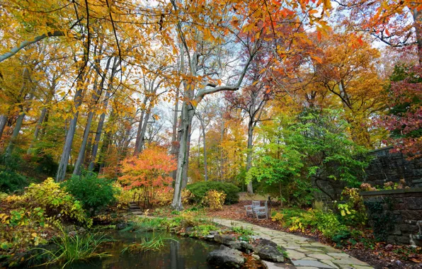 Осень, деревья, природа, пруд, парк, фото, США, Longwood Kennett Square