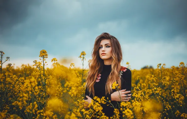 Картинка поле, девушка, боке