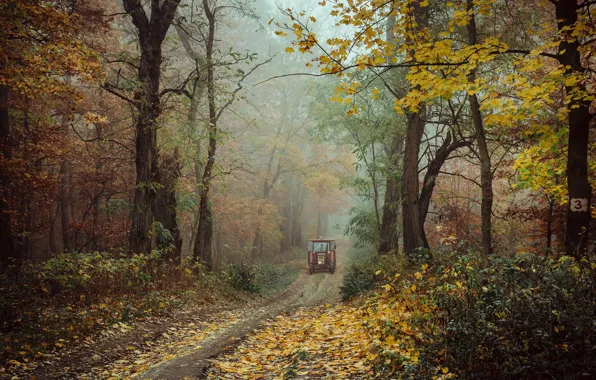 Картинка дорога, осень, лес, деревья, пейзаж, природа, туман, трактор