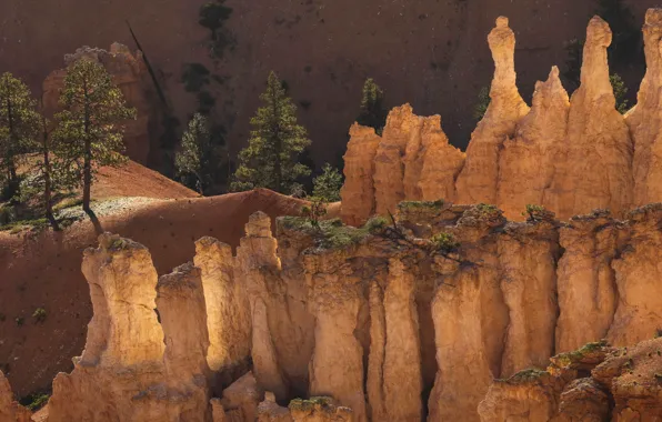 USA, Utah, Bryce Canyon