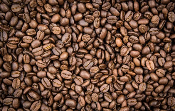Фон, кофе, зерна, texture, background, beans, coffee, roasted
