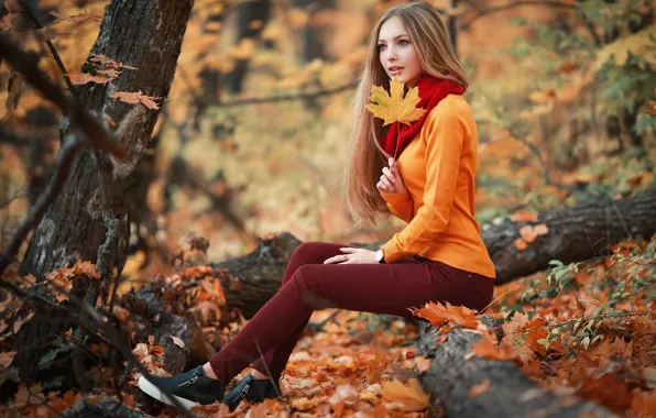 Картинка осень, девушка, деревья, лист, листва